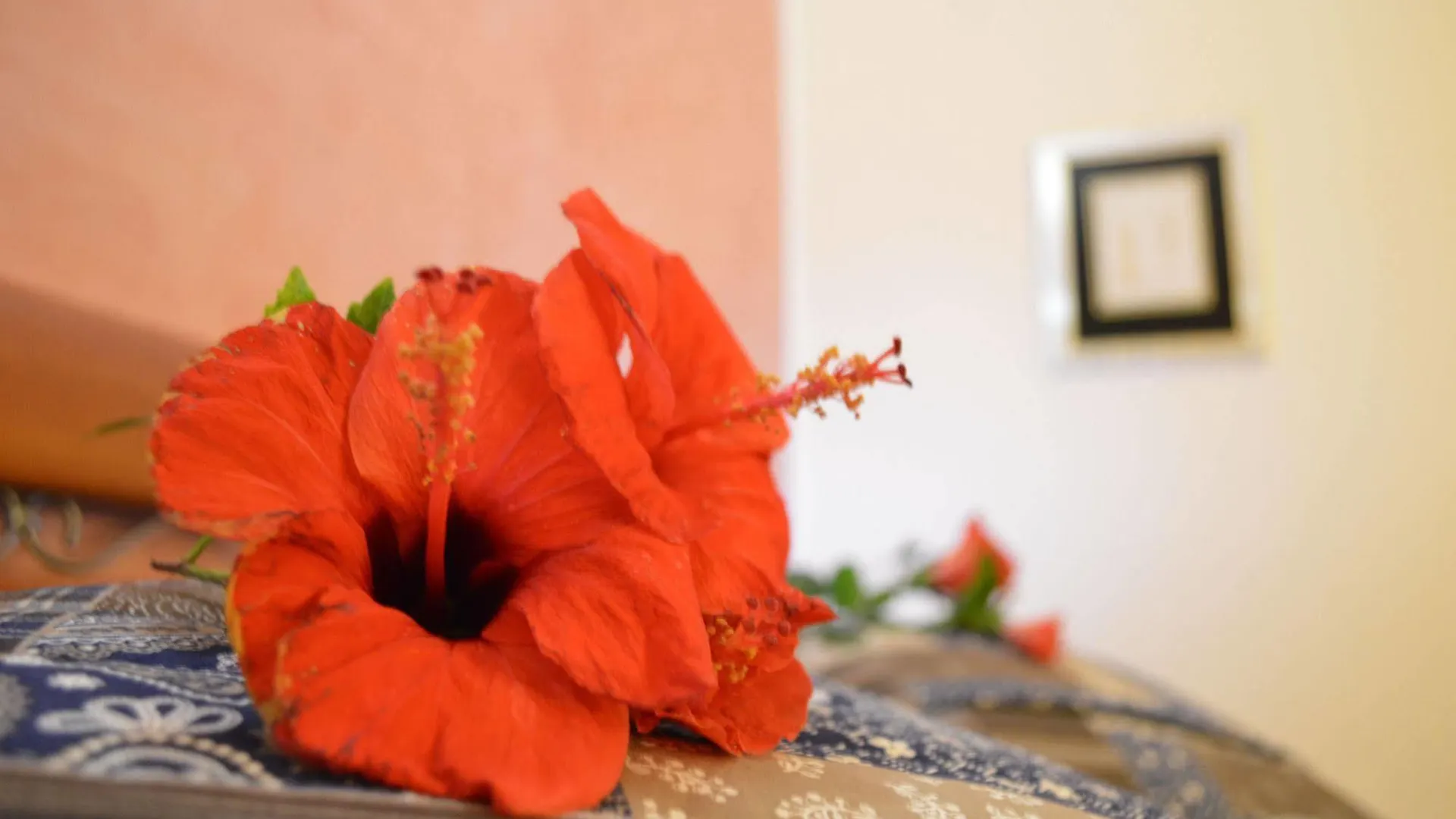 Mar Dei Poeti - Luxury Suites Torre Archirafi Bed & Breakfast